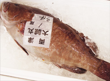 鮮魚