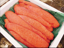 鮮魚