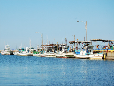 聖籠漁港 width=